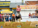 DSC08107.jpg