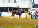 DSC08109.jpg