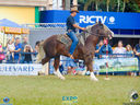 DSC08110.jpg