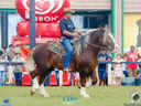 DSC08111.jpg