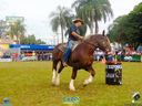 DSC08112.jpg
