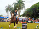 DSC08113.jpg
