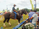 DSC08114.jpg