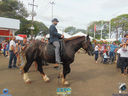 DSC08116.jpg