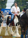 DSC08124.jpg
