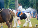 DSC08125.jpg
