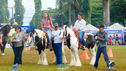 DSC08133.jpg