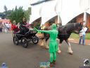 DSC08163.jpg