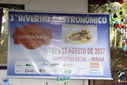 IMG_9601.jpg