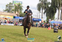 Filename=IMG_9619.jpg
Filesize=237KiB
Dimensions=790x527
Date added=Apr 11, 2017 IMG_9619.jpg