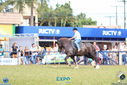 IMG_9638.jpg