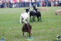 IMG_9845.jpg