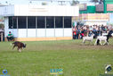 IMG_9846.jpg