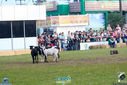 IMG_9848.jpg
