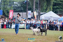 IMG_9854.jpg