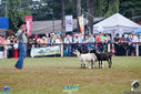 IMG_9855.jpg