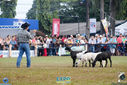 IMG_9857.jpg