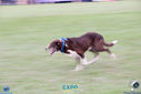 IMG_9868.jpg