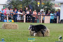 IMG_9872.jpg