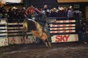 Filename=Rodeio_63.jpg
Filesize=84KiB
Dimensions=960x640
Date added=Apr 11, 2017 Rodeio_63.jpg