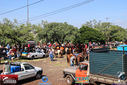 Filename=IMG_1859-3.jpg
Filesize=244KiB
Dimensions=790x527
Date added=Mar 14, 2017 IMG_1859-3.jpg
