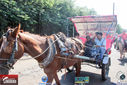 IMG_1970-3.jpg
