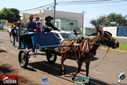 IMG_2099-3.jpg