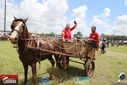 IMG_2265-2.jpg