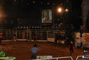 IMG_4211.jpg