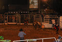 IMG_4212.jpg