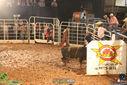 IMG_4232.jpg