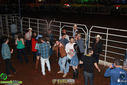 IMG_4384.jpg