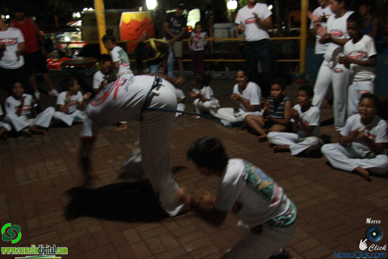 IMG_2240.jpg