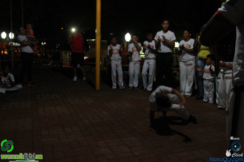 IMG_2270.jpg