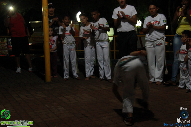 IMG_2271.jpg