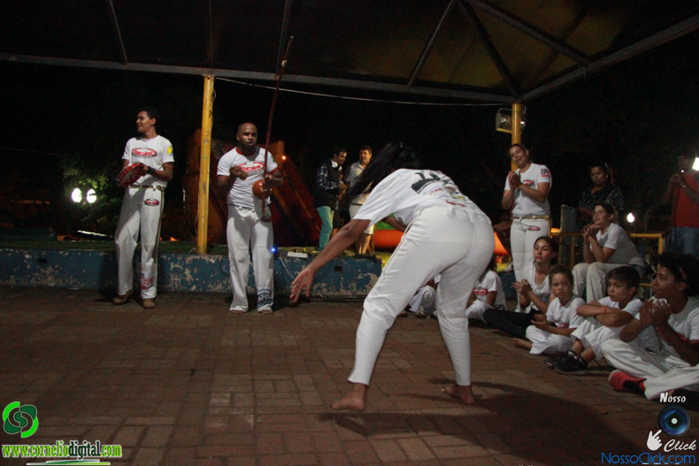 IMG_2364.jpg