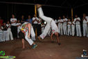 IMG_2063.jpg
