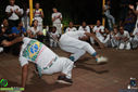 IMG_2086.jpg