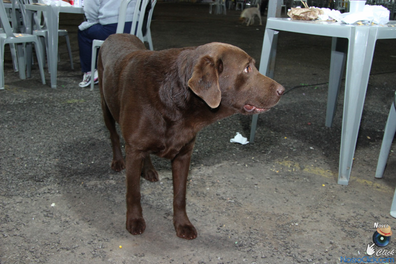 IMG_5091.jpg