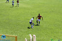 IMG_9017.jpg