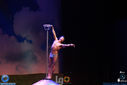 IMG_7897.jpg