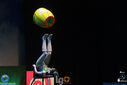 IMG_7917.jpg