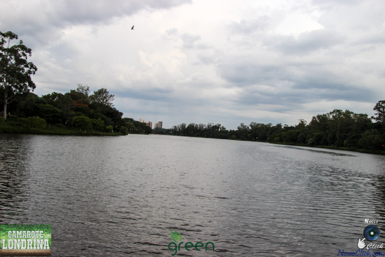 IMG_2480-2.jpg