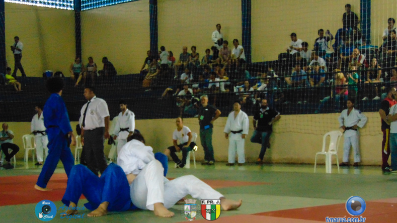 DSC02594.jpg