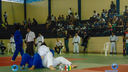 DSC02594.jpg