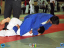 DSC02604.jpg
