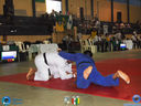 DSC02611.jpg