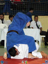 IMG_1724.jpg