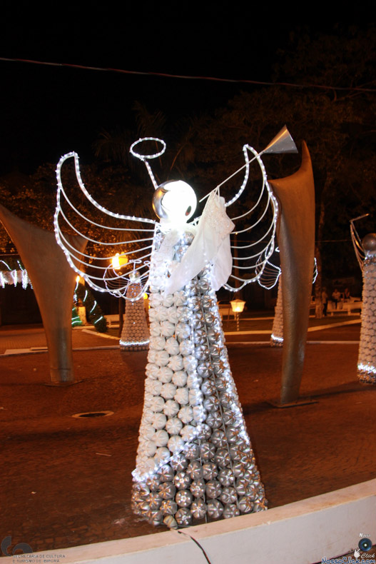 IMG_7547.jpg