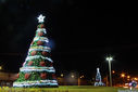 IMG_7517.jpg